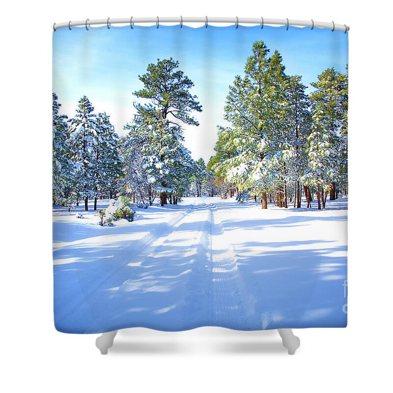 Grand Canyon Shower Curtain featuring the photograph Grand Canyon Snowfall by Susan Warren