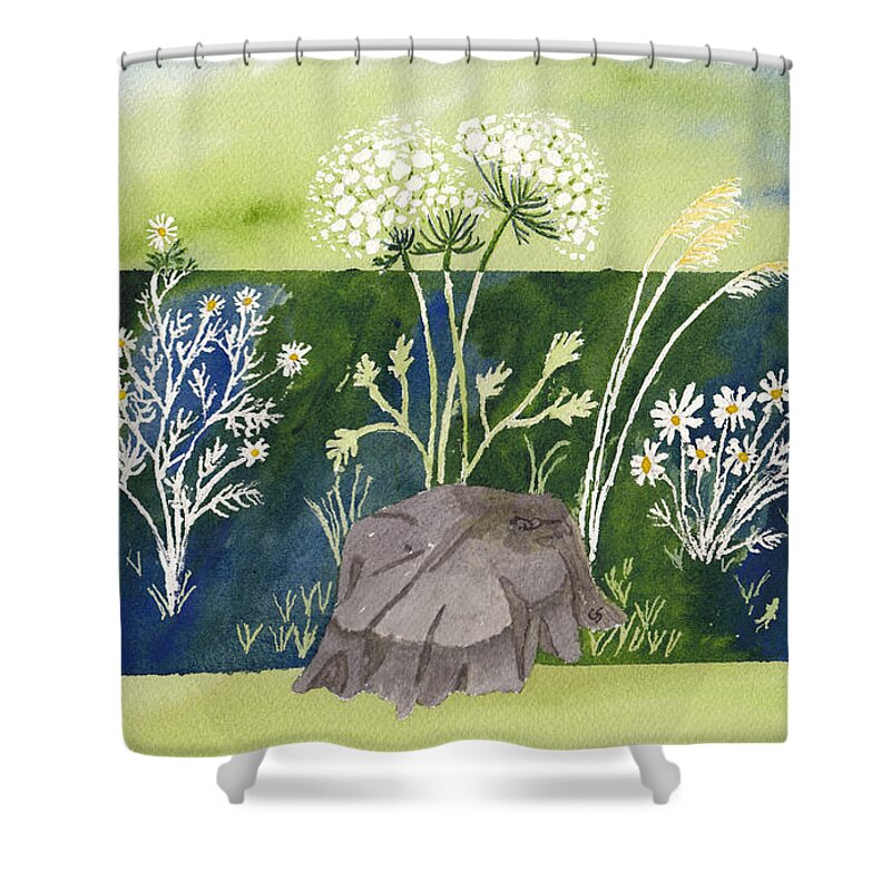 Wildflowers Shower Curtain featuring the painting Grand Ladies of the Field by Conni Schaftenaar