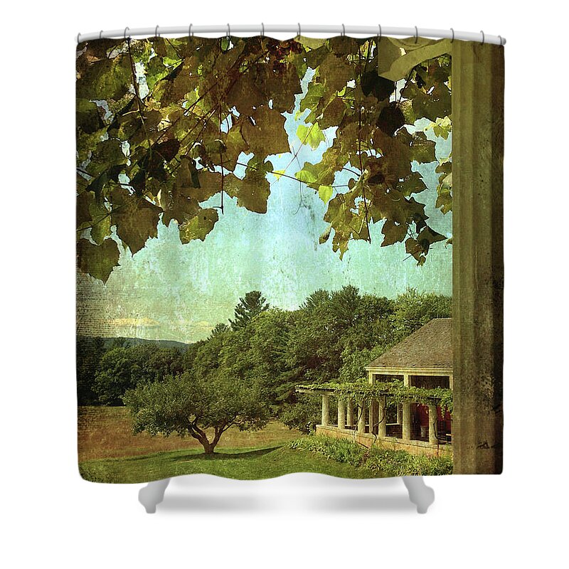 Arbor Shower Curtain featuring the photograph Grapes On Arbor by Betty Pauwels