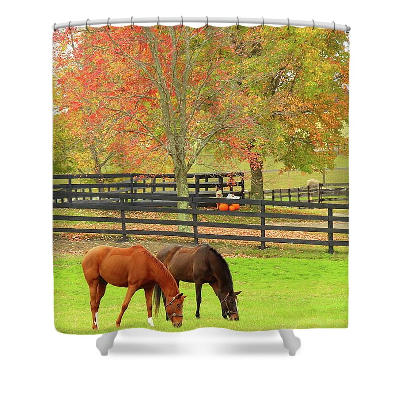 Horse Shower Curtain featuring the photograph Grazing Time by Les Greenwood