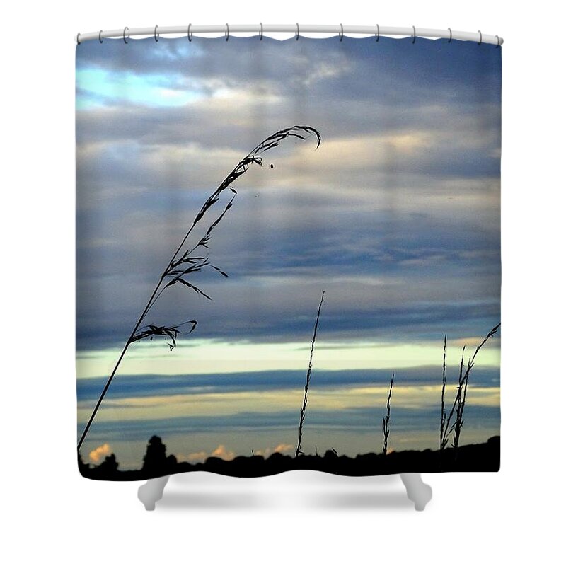 Sky Shower Curtain featuring the photograph Grass against abstract sky by Susan Baker