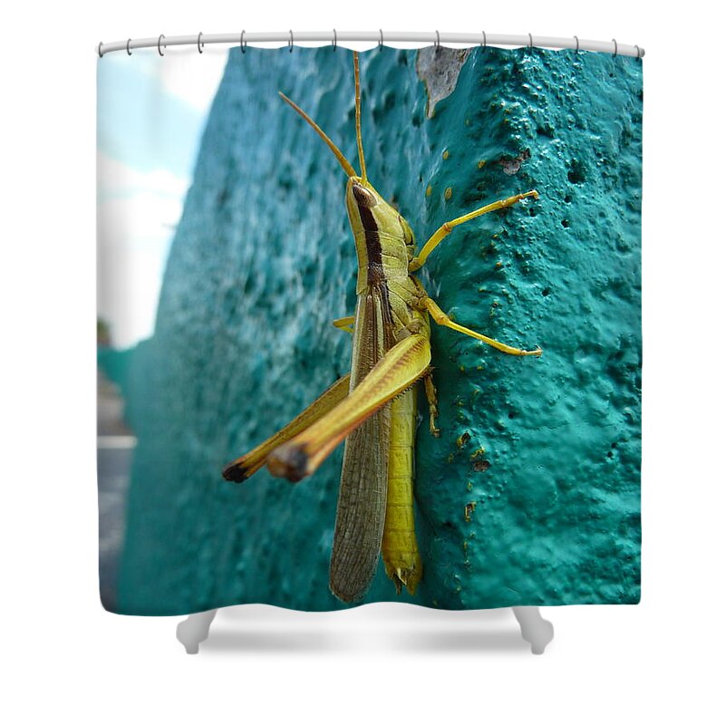 Grasshopper Shower Curtain featuring the photograph Grasshopper by Melisa Elliott