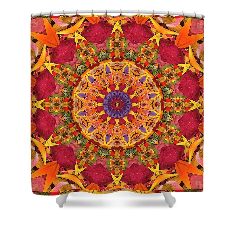 Yoga Art Shower Curtain featuring the photograph Gratitude by Bell And Todd
