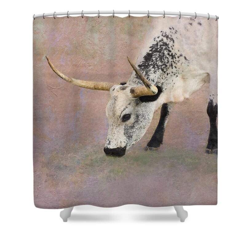 Texas Longhorn Shower Curtain featuring the photograph Grazing by Betty LaRue
