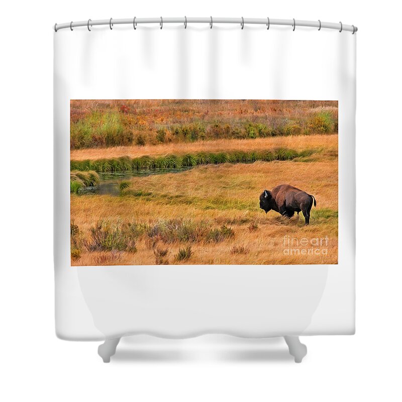 Bison Shower Curtain featuring the photograph Grazing Bison and Stream by Clare VanderVeen