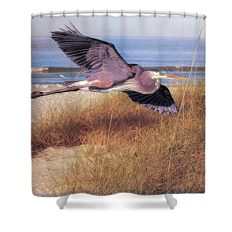 Great Blue Heron Shower Curtain featuring the photograph Great Blue Heron at the beach by Brian Tarr