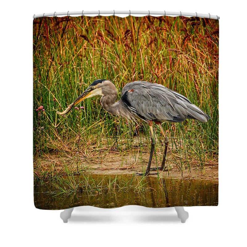 Bald Eagles Shower Curtain featuring the photograph Great Blue Heron III by Kathi Isserman