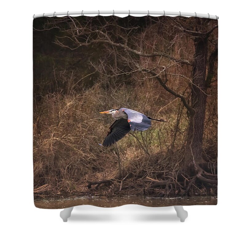 Great Blue Heron Shower Curtain featuring the photograph Great Blue Heron in Flight by Susan Rissi Tregoning