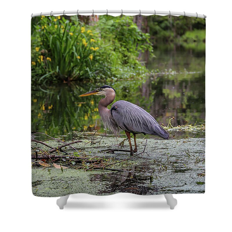 Waterfowl Shower Curtain featuring the photograph Great Blue Heron by Kevin Craft