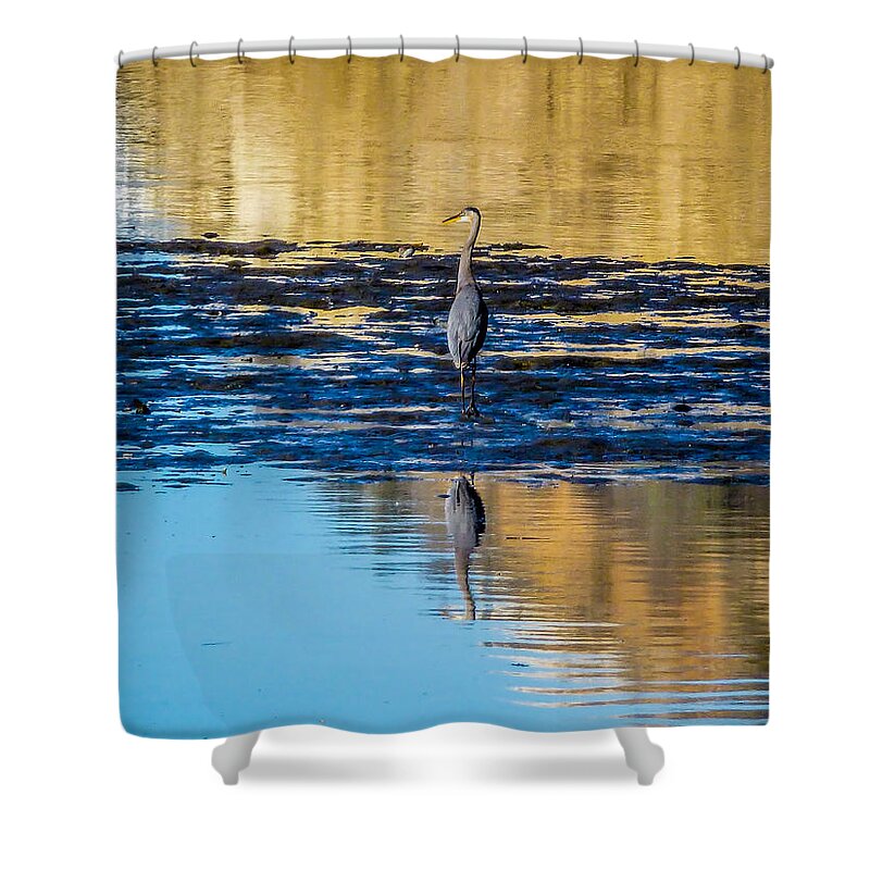 Great Blue Heron Shower Curtain featuring the photograph Great Blue Heron by Pamela Newcomb