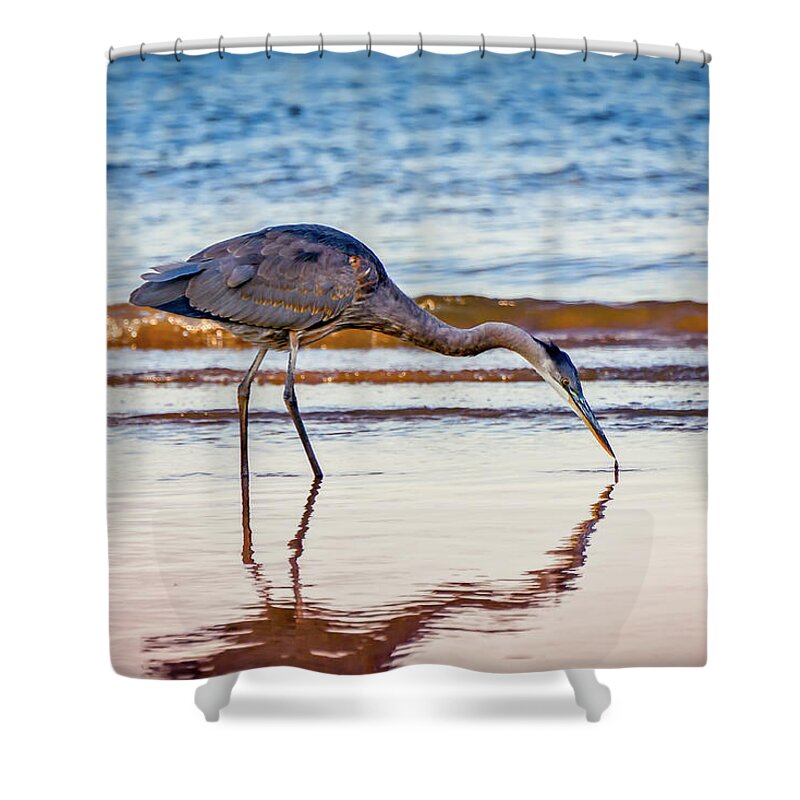 Ardea Herodias Shower Curtain featuring the photograph Great Blue Heron Twilight by Patrick Wolf