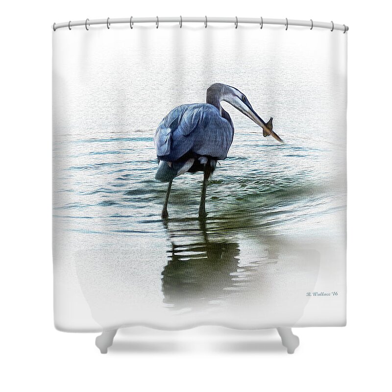 2d Shower Curtain featuring the photograph Great Blue Heron With Fish by Brian Wallace