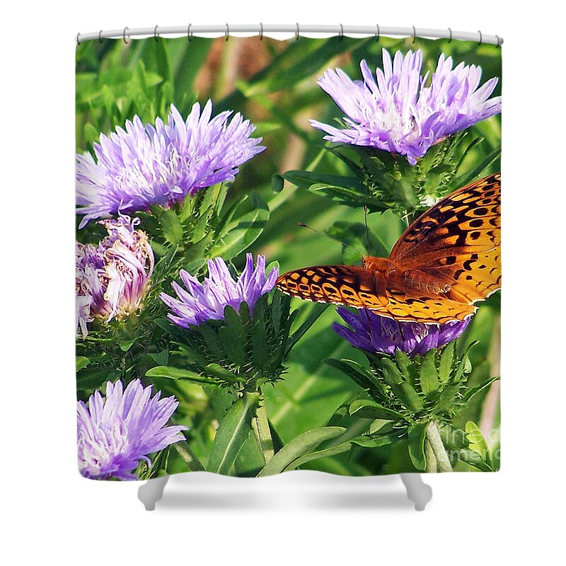Eastern Great Spangled Fritillary Shower Curtain featuring the photograph Great Blue Star by Jennifer Robin