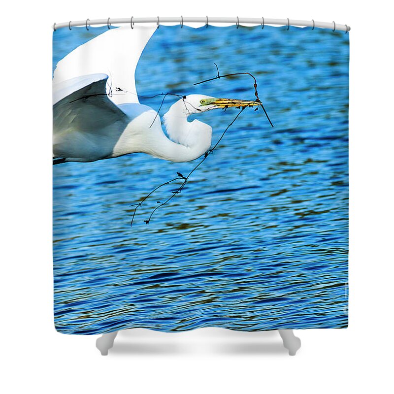 Great Egret Shower Curtain featuring the photograph Great Egret Building Nest by Ben Graham