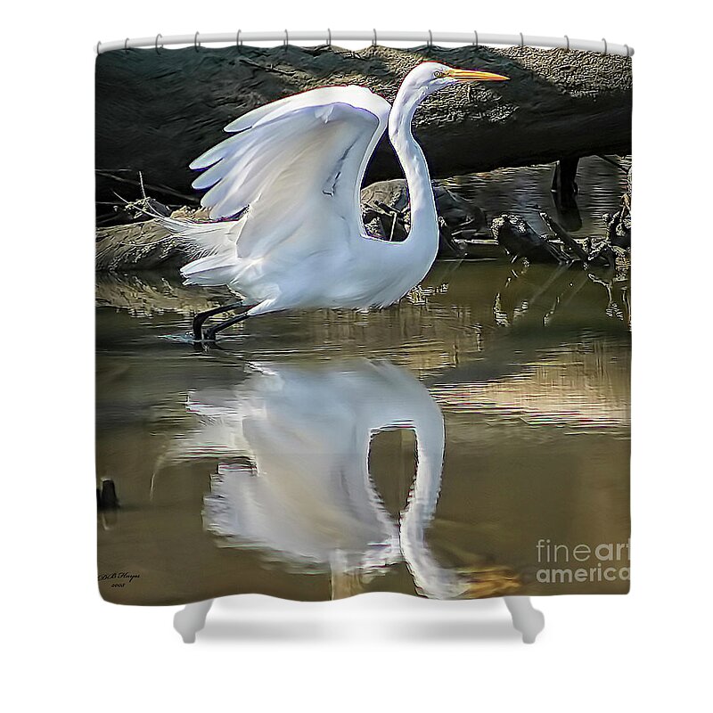 Egret Shower Curtain featuring the photograph Great Egret Lifting Off by DB Hayes