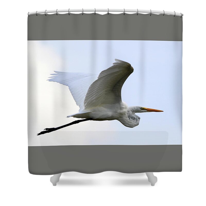 Great Egret Shower Curtain featuring the photograph Great Egret Port Jefferson New York by Bob Savage