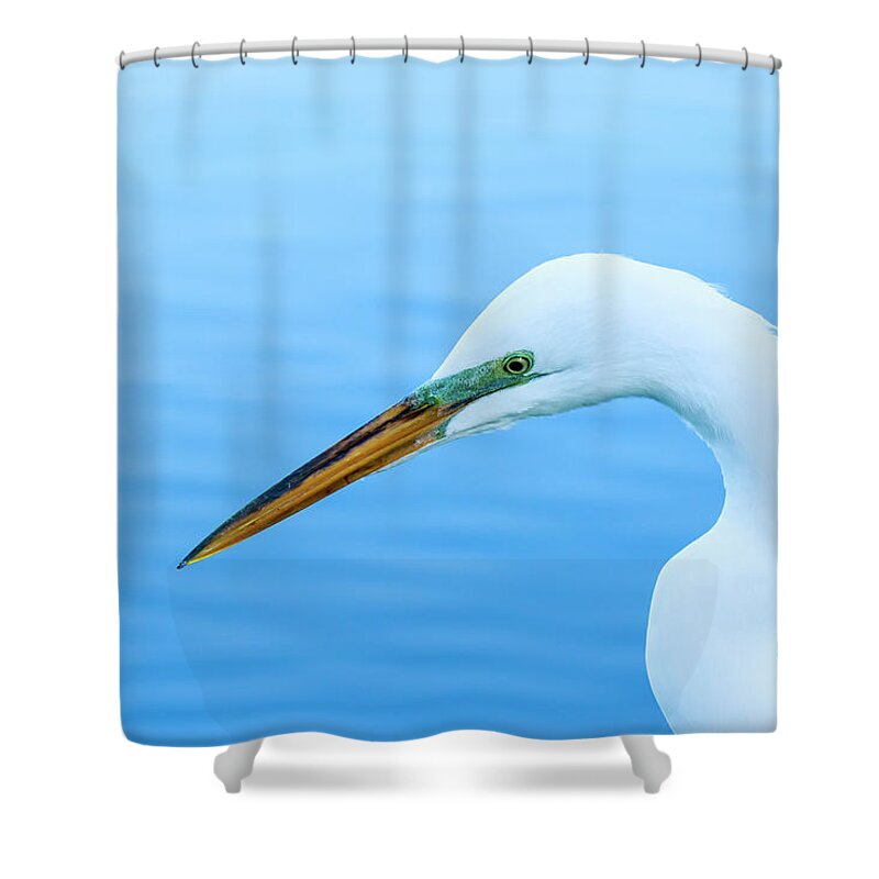 Great Egret Shower Curtain featuring the photograph Great Egret Profile 2 by Ben Graham