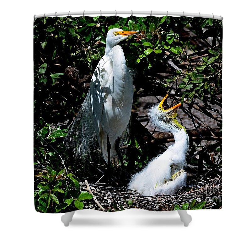Birds Shower Curtain featuring the photograph Great Egrets on the Nest by Steve Brown