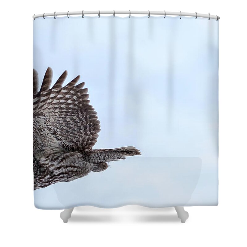 Bird Shower Curtain featuring the photograph Great Gray Owl in Flight by Brook Burling