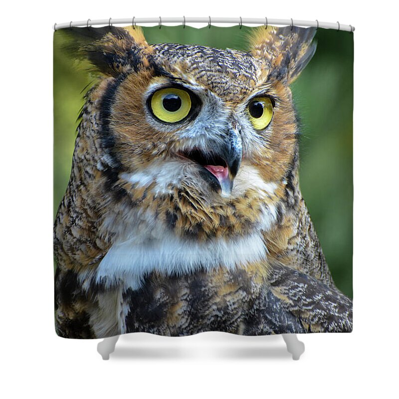 Great Horned Owl Shower Curtain featuring the photograph Great Horned Owl Smiling by Amy Porter