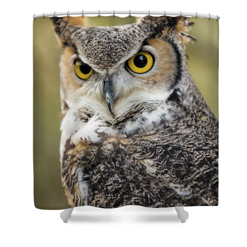 Owl Shower Curtain featuring the photograph Great Horned Owl by Wesley Aston