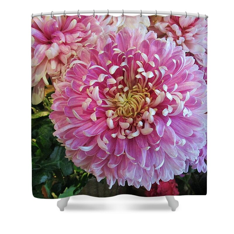 Flower Shower Curtain featuring the photograph Great pleasure by Rosita Larsson