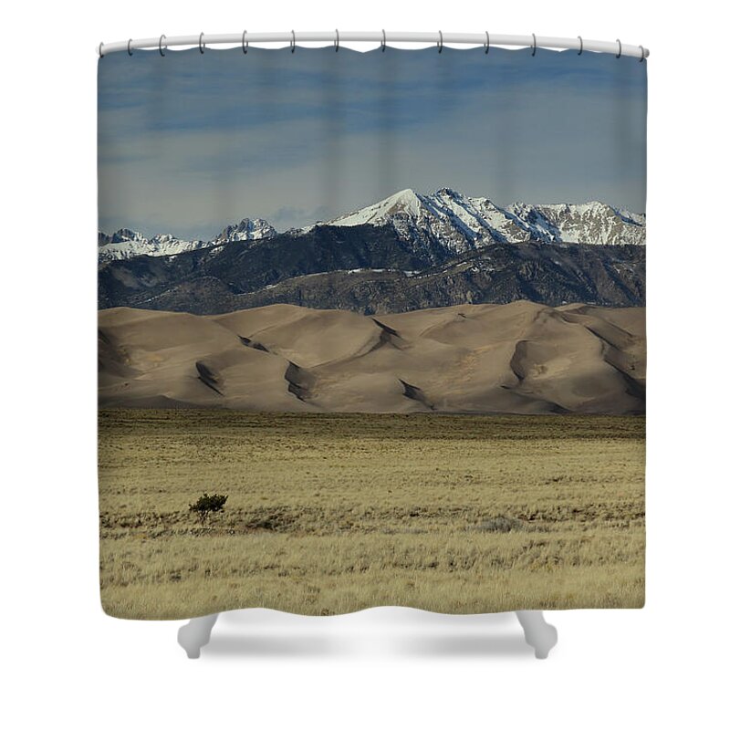 Great Sand Dunes Shower Curtain featuring the photograph Great Sand Dunes and a Tree by David Diaz