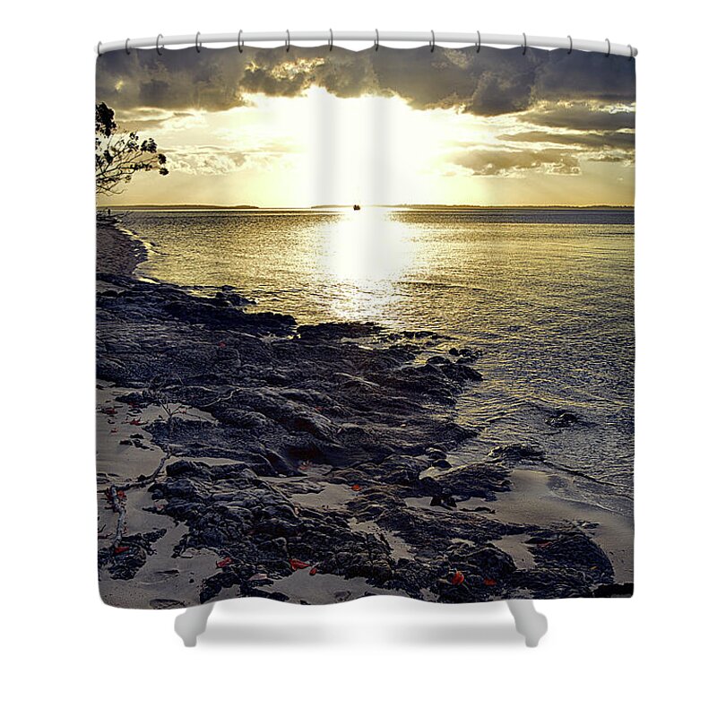 Great Shower Curtain featuring the photograph Great Sandy Strait by Andrei SKY