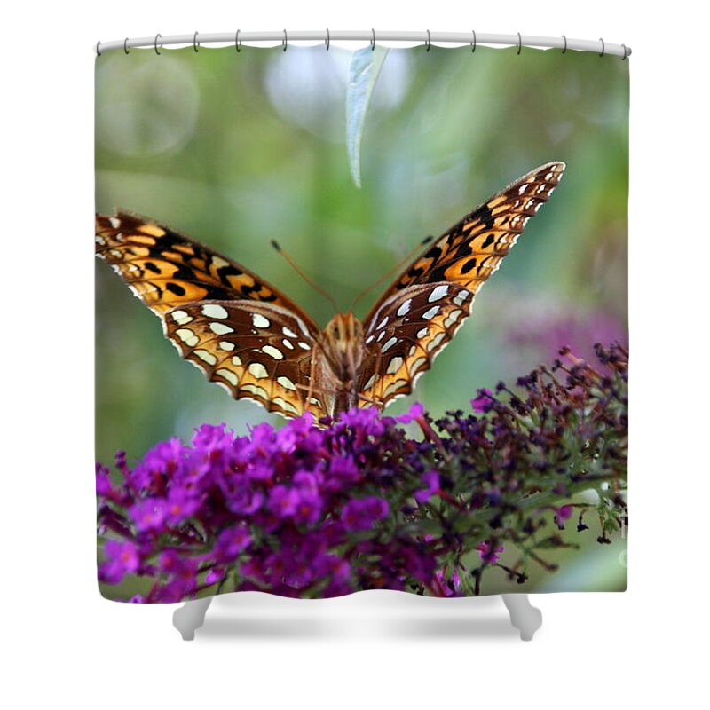 Butterfly Shower Curtain featuring the photograph Great Spangled Fritillary Butterfly by Wendy Coulson