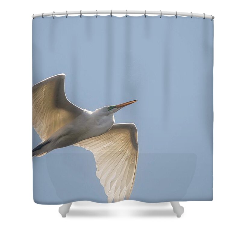 Egret Shower Curtain featuring the photograph Great White Egret - 2 by David Bearden