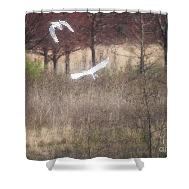 Egret Shower Curtain featuring the photograph Great White Egret - 3 by David Bearden
