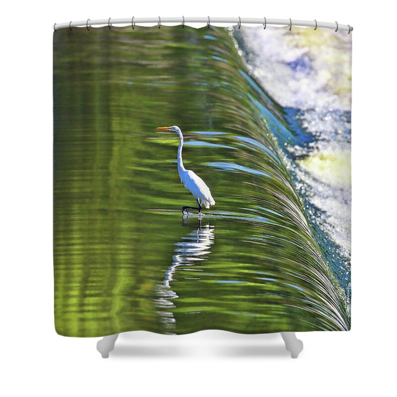 Egret Shower Curtain featuring the photograph Great White Egret at the Falls 2730 by Jack Schultz