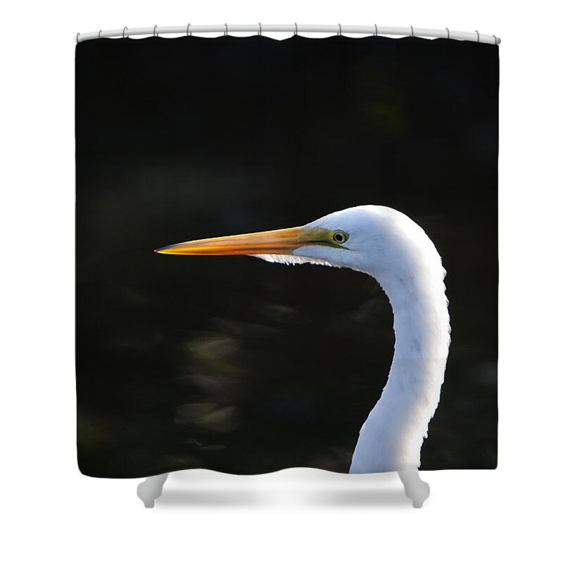 Egret Shower Curtain featuring the photograph Great White Egret Portrait 1 by John Harmon