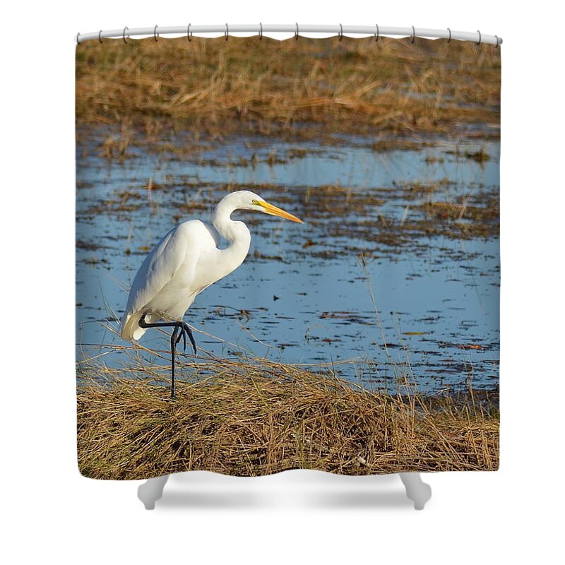 Great White Heron Shower Curtain featuring the photograph Great White Heron by Carla Parris