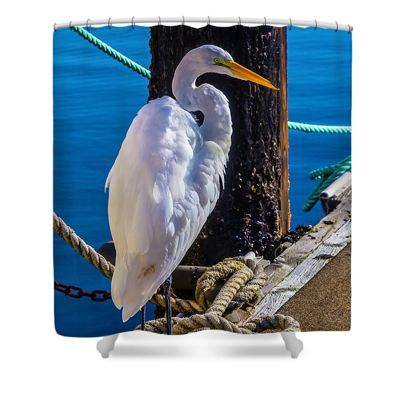 Great White Heron Shower Curtain featuring the photograph Great White Heron On Boat Dock by Garry Gay