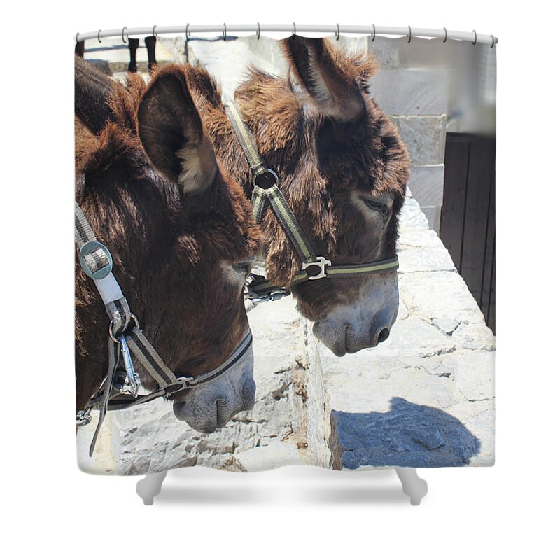 Greece Shower Curtain featuring the photograph Greece's Donkeys by Donna L Munro