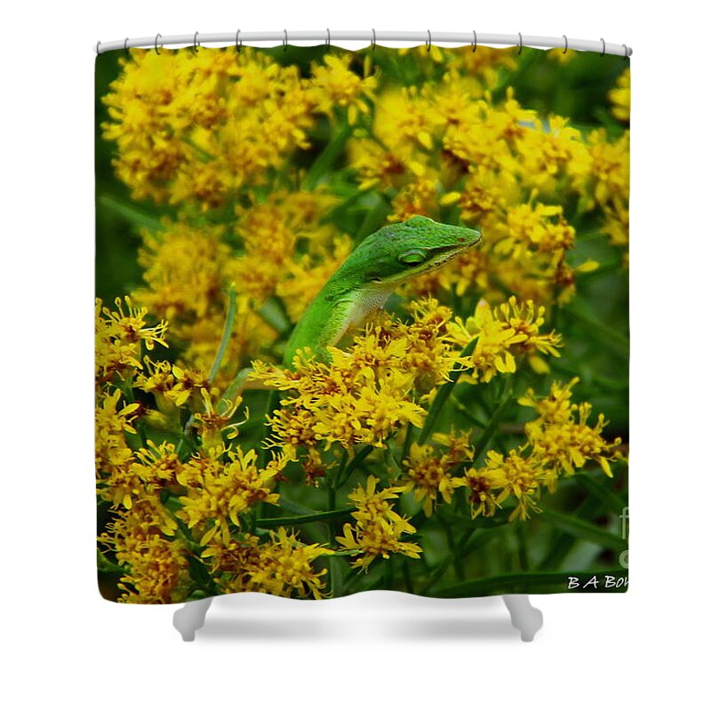 Green Anole Shower Curtain featuring the photograph Green Anole hiding in Golden rod by Barbara Bowen
