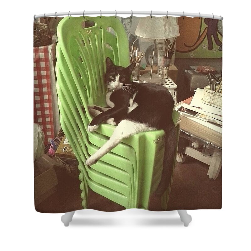 Sitting Shower Curtain featuring the photograph Green Chair Sitting by Sukalya Chearanantana