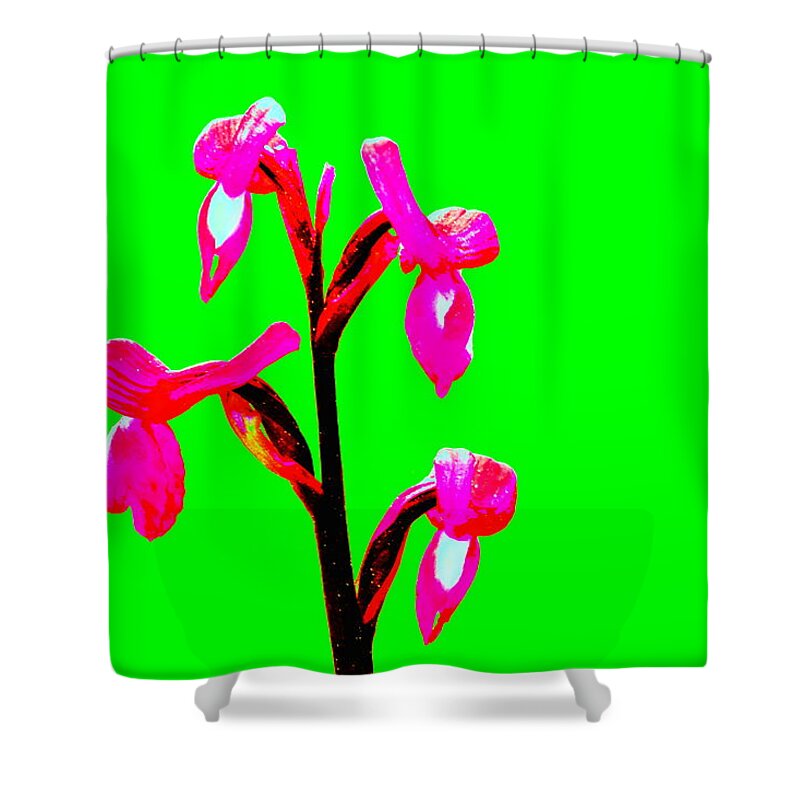 Flowers Shower Curtain featuring the photograph Green Champagne Orchid by Richard Patmore