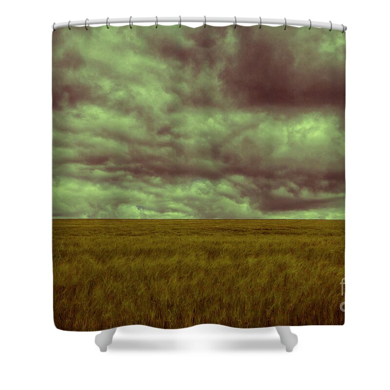 Green Shower Curtain featuring the photograph Green Fields 3 by Douglas Barnard