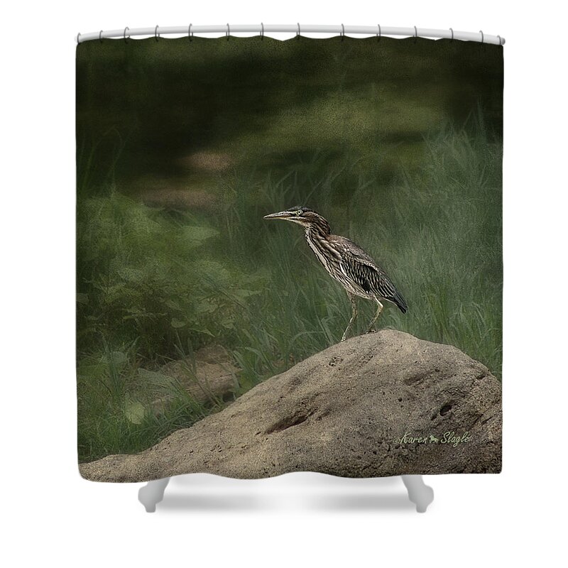 Heron Shower Curtain featuring the photograph Green Heron by Karen Slagle