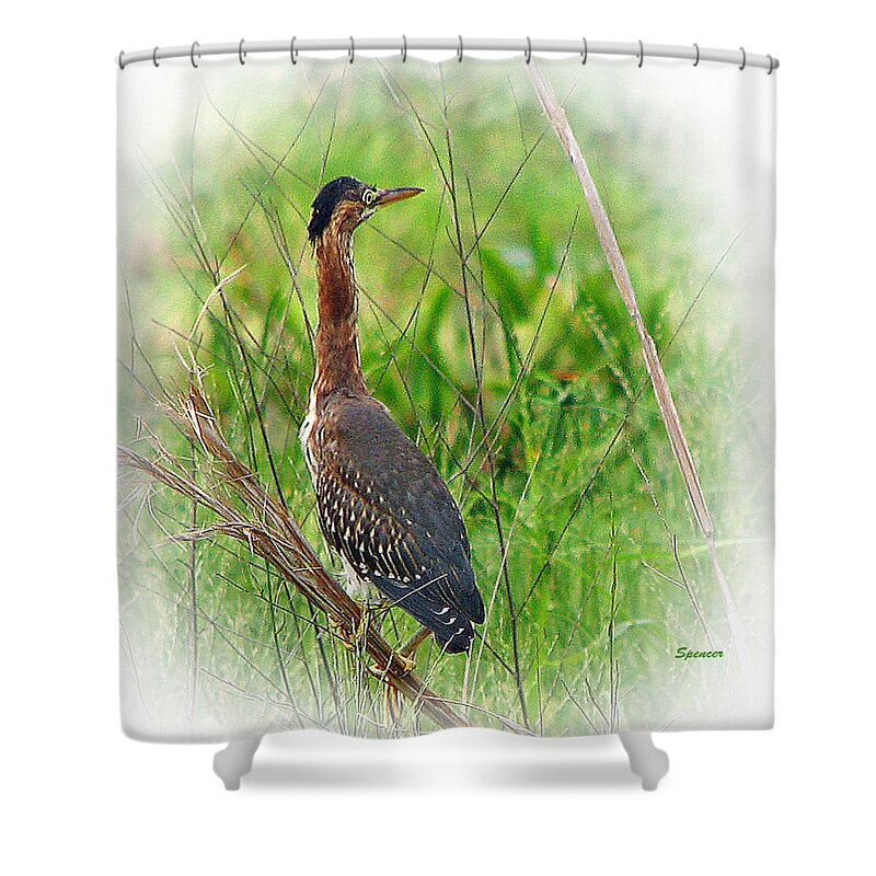 Wildlife Shower Curtain featuring the photograph Green on Green by T Guy Spencer