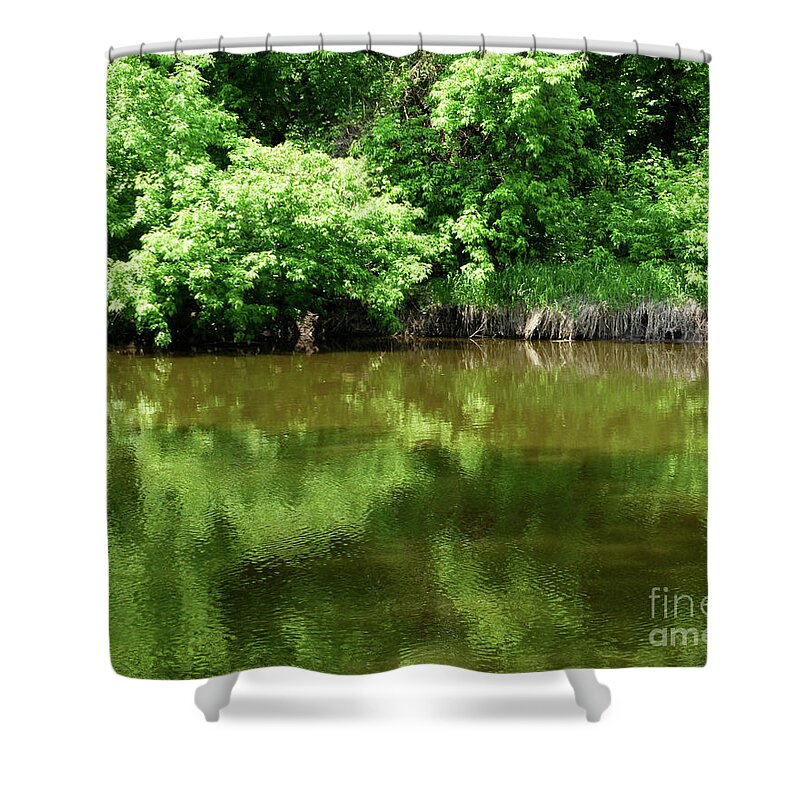 Water Shower Curtain featuring the photograph Green Peace by Paula Joy Welter