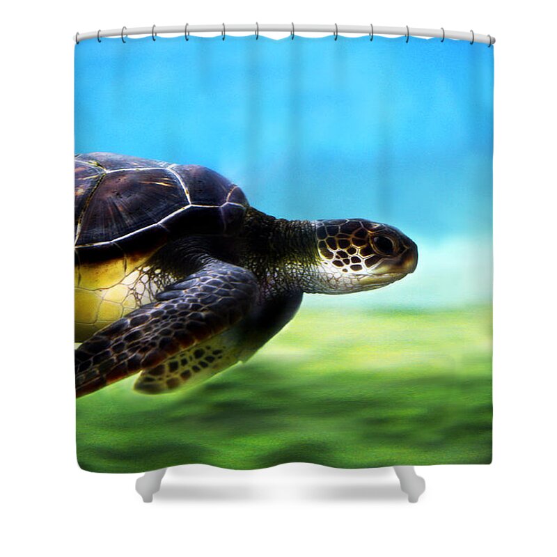 Green Shower Curtain featuring the photograph Green Sea Turtle 2 by Marilyn Hunt