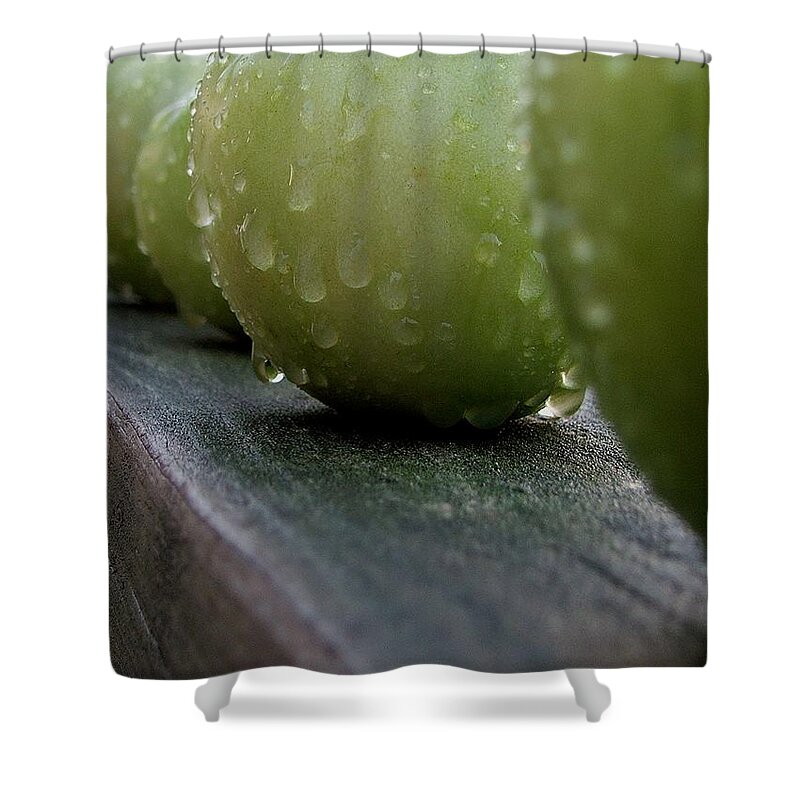 Green Tomato Shower Curtain featuring the photograph Green Tomato's by Robert Meanor