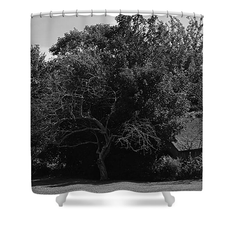 Meadows Shower Curtain featuring the photograph Greenport B W 2 by Rob Hans