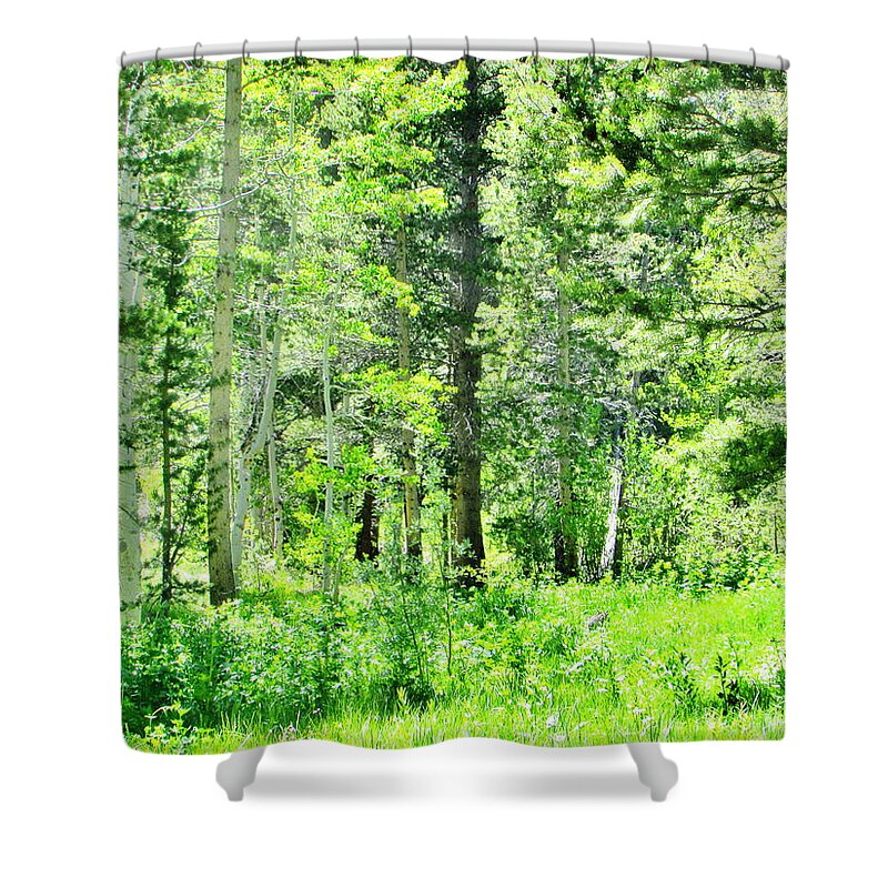 Forest Shower Curtain featuring the photograph Greens by Marilyn Diaz