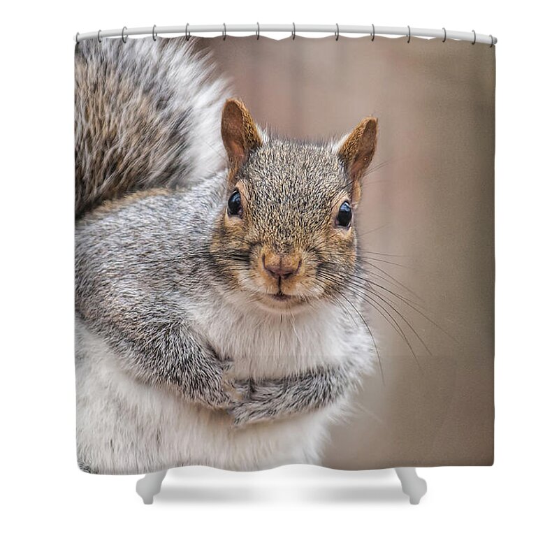 Squirrel Shower Curtain featuring the photograph Greetings by Cathy Kovarik