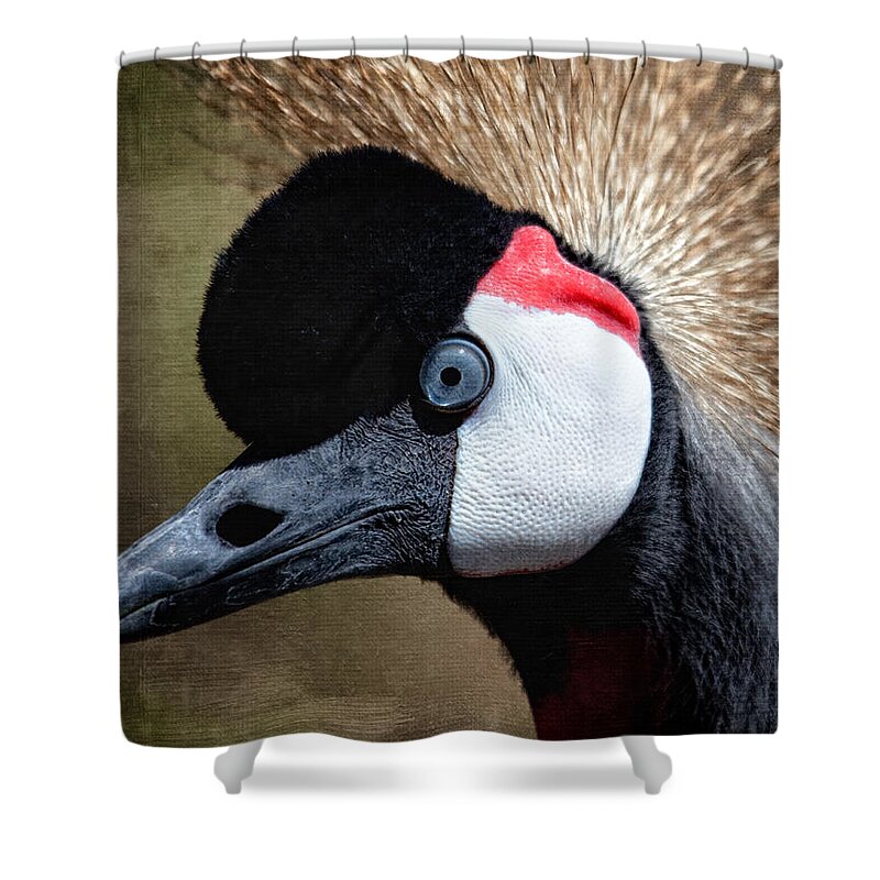 Grey - Crowned Crane Shower Curtain featuring the photograph Grey - crowned Crane by Al Mueller