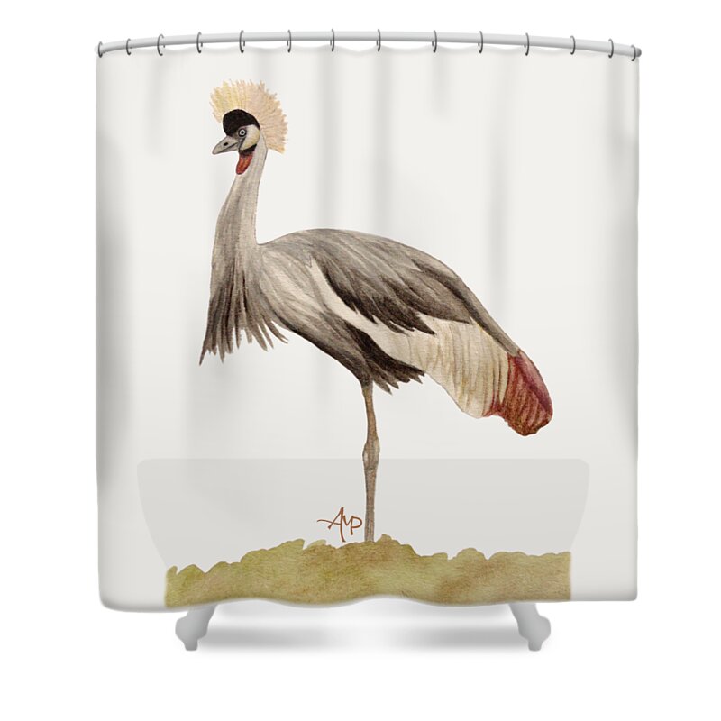 Grey Crowned Crane Shower Curtain featuring the painting Grey Crowned Crane by Angeles M Pomata